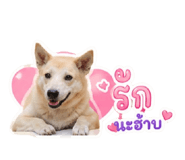 840523207