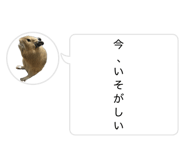 840523938
