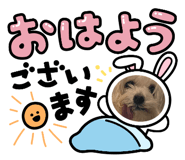 840523968