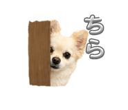 840524249