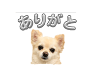 840524252