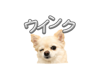 840524253