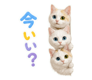 840524690