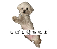 840524762