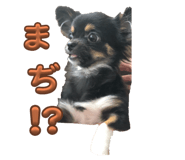 840525285