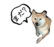 840525328