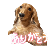 840525586