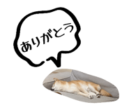 840525794