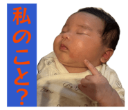 840525953