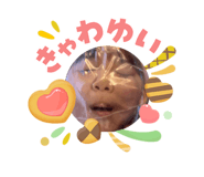 840525977