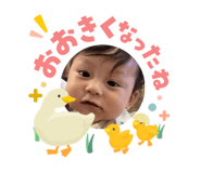 840526087