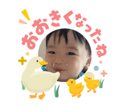 840526462