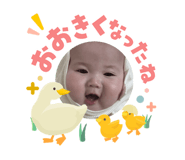 840526550