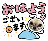 840526881