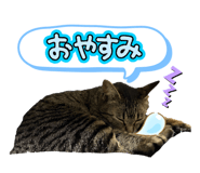 840527659