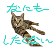 840527663