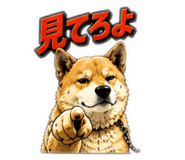 840528001