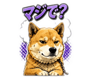 840528016