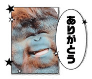 840528338