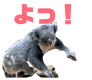 840528347