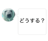 840528360