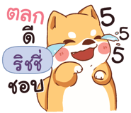 840530051