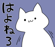 840537706
