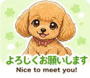 840538617