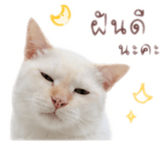 840542183