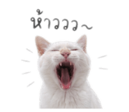 840542185