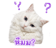 840542811