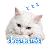 840542815
