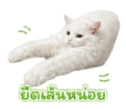 840542822