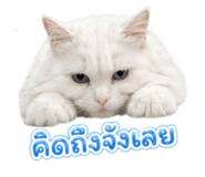 840542824
