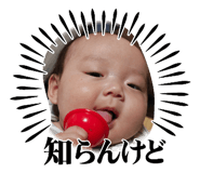 840544612