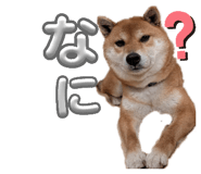 840545219