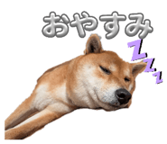 840545222