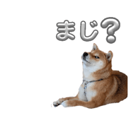 840545232