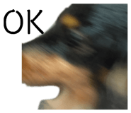 840545262