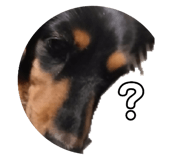 840545264