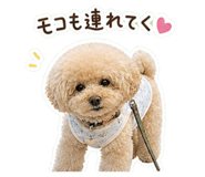 840545862