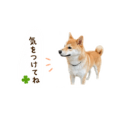 840546414