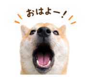 840546416