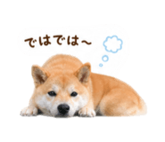 840546418