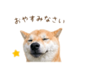 840546419