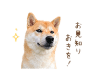840546420