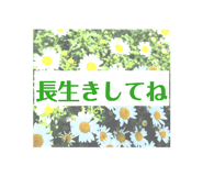 840557917