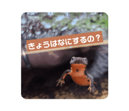 840557926