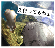840557928