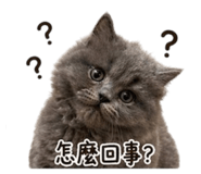 840557980